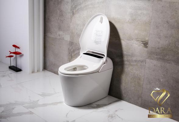 Ceramic Toilet Ware at the Best Price